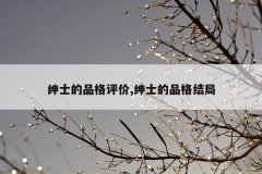 绅士的品格评价,绅士的品格结局