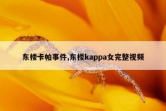 东楼卡帕事件,东楼kappa女完整视频