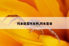 阿本就是阿本啊,阿本是谁