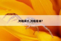 刘璐简介,刘璐是谁?