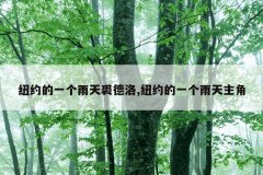 纽约的一个雨天裘德洛,纽约的一个雨天主角