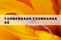 于正和哪些男星有关系,于正和哪些女演员有关系