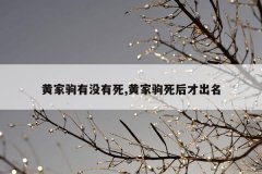 黄家驹有没有死,黄家驹死后才出名