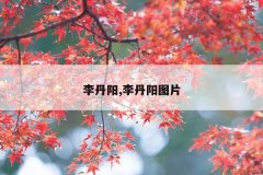 李丹阳,李丹阳图片