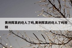 黄利辉真的吃人了吗,黄利辉真的吃人了吗视频
