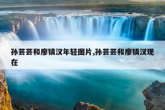 孙芸芸和廖镇汉年轻图片,孙芸芸和廖镇汉现在