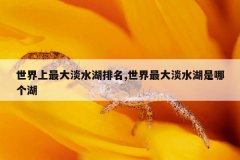 世界上最大淡水湖排名,世界最大淡水湖是哪个湖