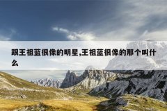 跟王祖蓝很像的明星,王祖蓝很像的那个叫什么