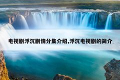 电视剧浮沉剧情分集介绍,浮沉电视剧的简介