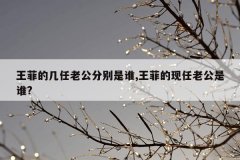 王菲的几任老公分别是谁,王菲的现任老公是谁?