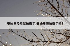 秦始皇陵早就被盗了,秦始皇陵被盗了吗?