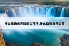 什么动物自己就能生孩子,什么动物自己生育