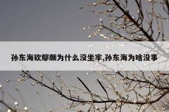 孙东海砍鄢颇为什么没坐牢,孙东海为啥没事