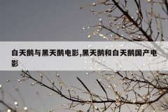 白天鹅与黑天鹅电影,黑天鹅和白天鹅国产电影