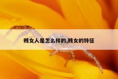 贱女人是怎么样的,贱女的特征