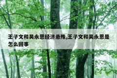 王子文和吴永恩经济悬殊,王子文和吴永恩是怎么回事