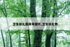 卫生纸礼服简单图片,卫生纸礼物