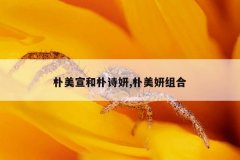 朴美宣和朴诗妍,朴美妍组合