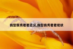 我型我秀君君近况,我型我秀君君现状