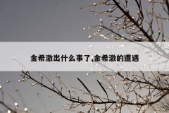 金希澈出什么事了,金希澈的遭遇
