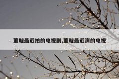 董璇最近拍的电视剧,董璇最近演的电视