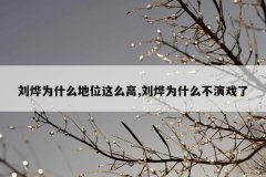 刘烨为什么地位这么高,刘烨为什么不演戏了