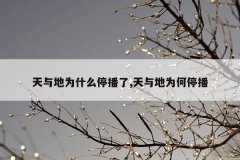 天与地为什么停播了,天与地为何停播