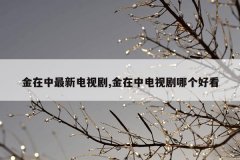金在中最新电视剧,金在中电视剧哪个好看