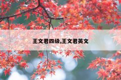 王文君四级,王文君英文