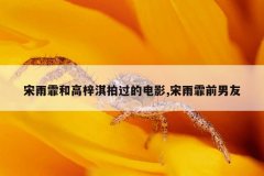 宋雨霏和高梓淇拍过的电影,宋雨霏前男友