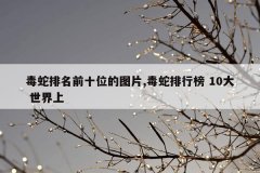 毒蛇排名前十位的图片,毒蛇排行榜 10大 世界上
