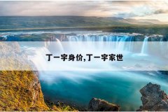 丁一宇身价,丁一宇家世