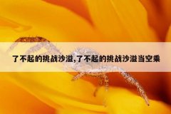 了不起的挑战沙溢,了不起的挑战沙溢当空乘