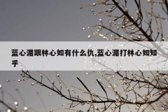 蓝心湄跟林心如有什么仇,蓝心湄打林心如知乎