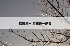 后藤淳一,后藤淳一配音