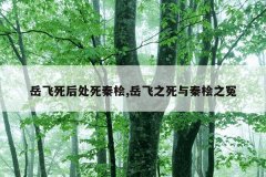 岳飞死后处死秦桧,岳飞之死与秦桧之冤