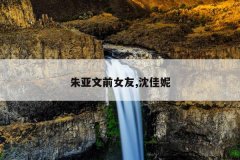 朱亚文前女友,沈佳妮