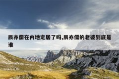 辰亦儒在内地定居了吗,辰亦儒的老婆到底是谁