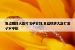 集结棋牌大连打滚子官网,集结棋牌大连打滚子安