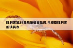 胜利者第29集戴娇倩霍政谚,电视剧胜利者的演员