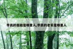 李晨的祖籍是哪里人,李晨的老家是哪里人