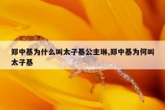 郑中基为什么叫太子基公主琳,郑中基为何叫太子