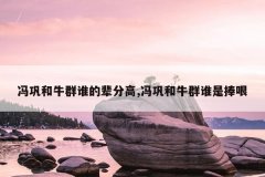 冯巩和牛群谁的辈分高,冯巩和牛群谁是捧哏