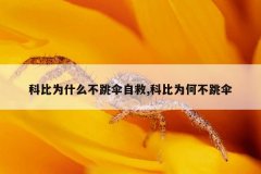 科比为什么不跳伞自救,科比为何不跳伞