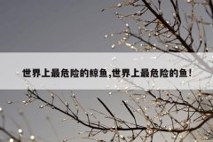 世界上最危险的鲸鱼,世界上最危险的鱼!