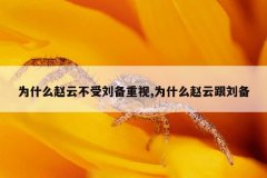 为什么赵云不受刘备重视,为什么赵云跟刘备