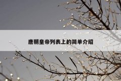 唐朝皇帝列表上的简单介绍