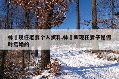 林峯现任老婆个人资料,林峯跟现任妻子是何时结婚的