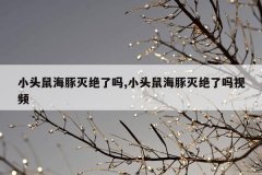 小头鼠海豚灭绝了吗,小头鼠海豚灭绝了吗视频