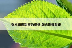 张杰谢娜甜蜜的爱情,张杰谢娜甜宠